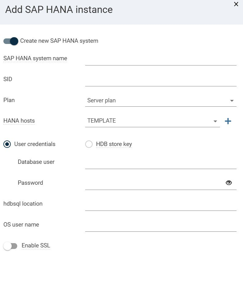 Окно Add SAP HANA instance